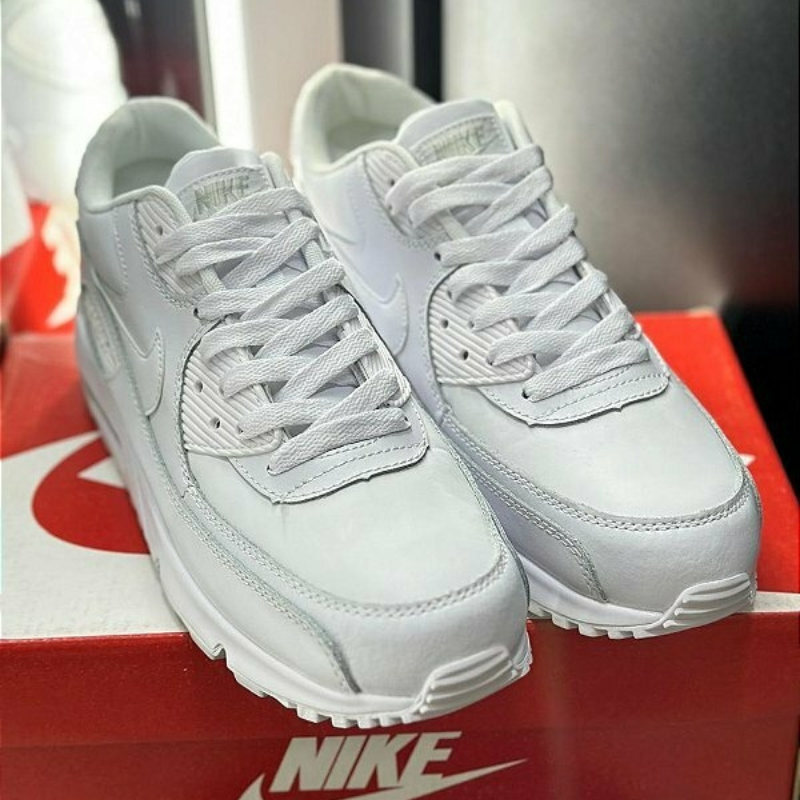 Air Max 90 1.0