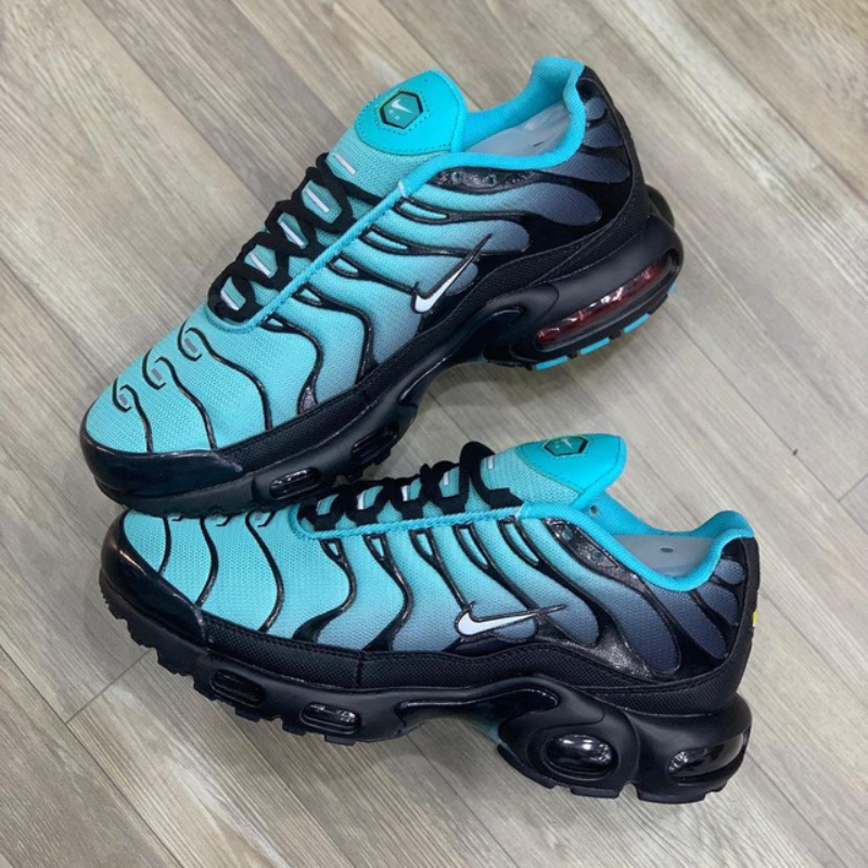 Air Max TN Plus Swoosh