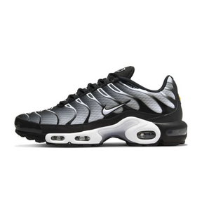 Air Max TN Plus Metallic Silver