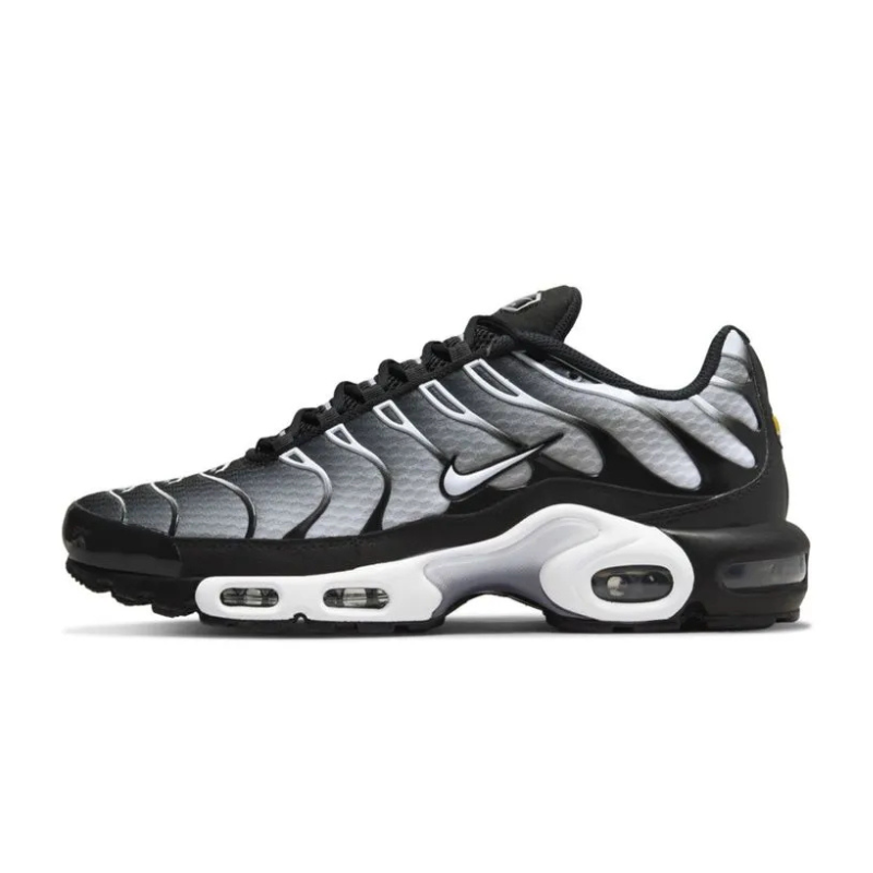 Air Max TN Plus Metallic Silver