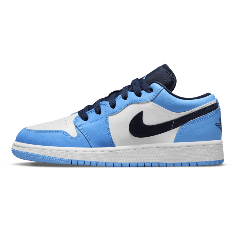 Air Jordan Low Blue Sky