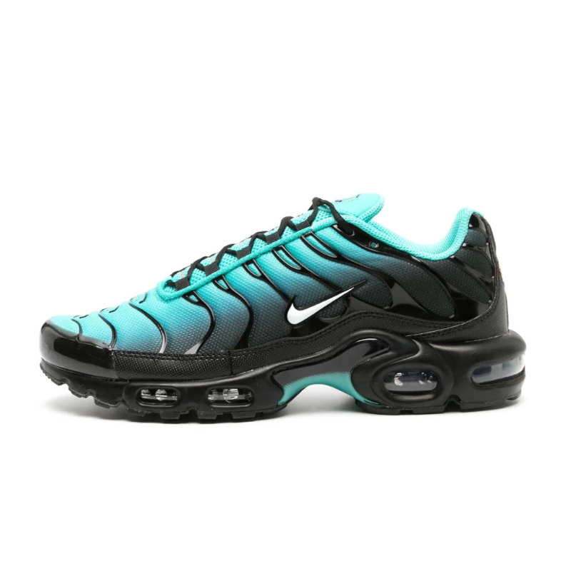 Air Max TN Plus Swoosh